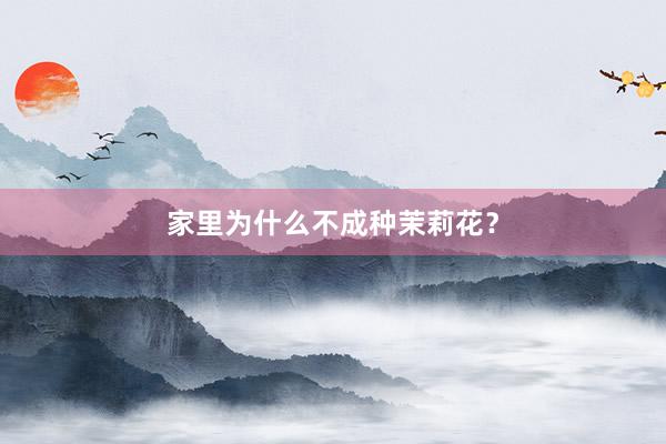 家里为什么不成种茉莉花？