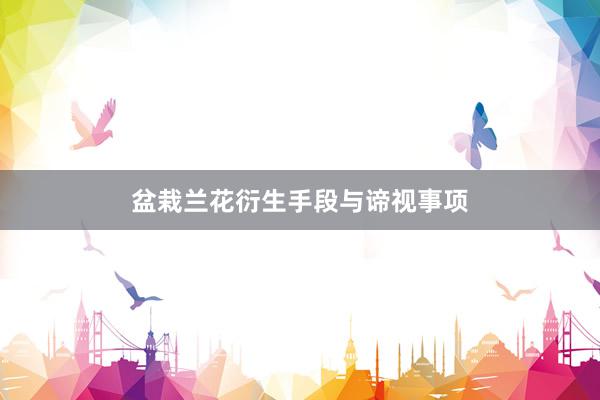 盆栽兰花衍生手段与谛视事项